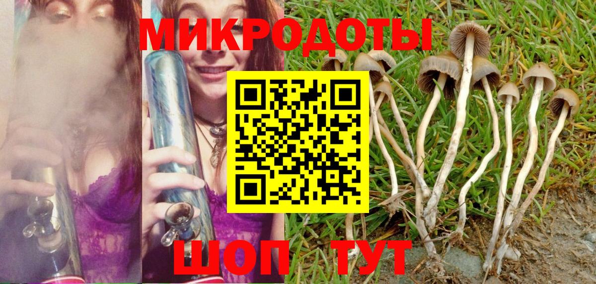 Галлюциногенные грибы Psilocybine cubensis  Вход с VPN  Карачаевск 